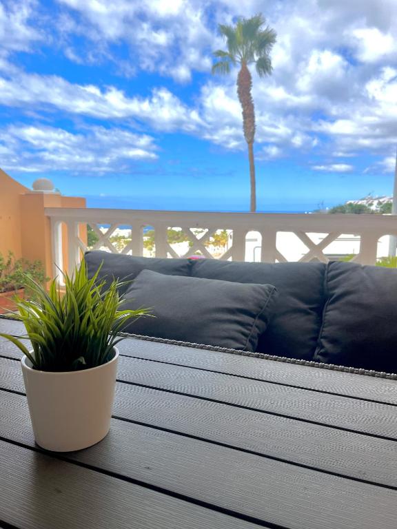 Palm Vista