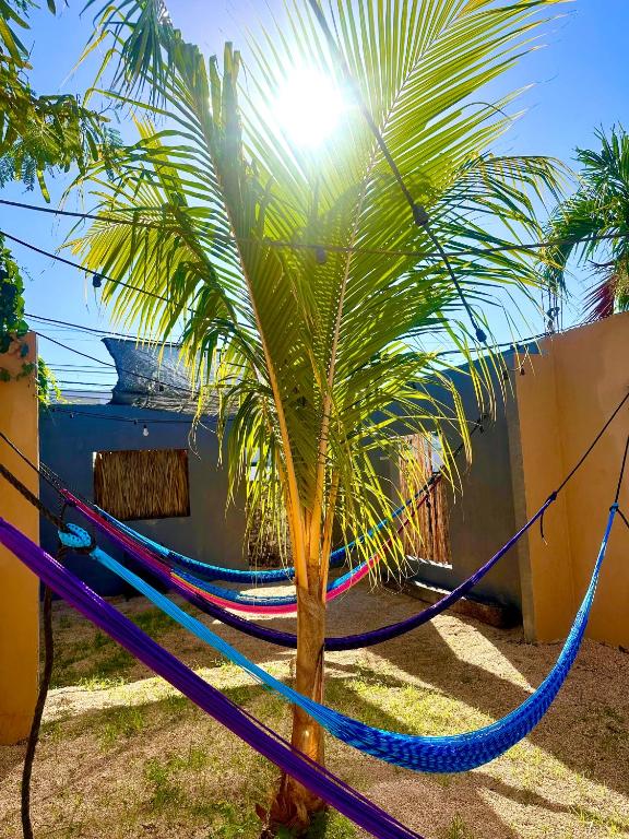 Zahrada ubytování Guacamayas Hostel and Social Laundry