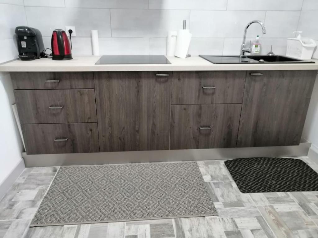 une cuisine avec un évier et un plan de travail dans l'établissement Cozy and equipped outbuilding in Schiltigheim, à Schiltigheim