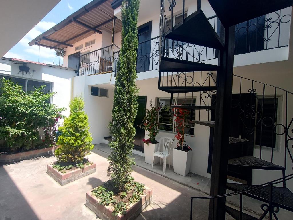 Zahrada ubytování Zidko Guest House