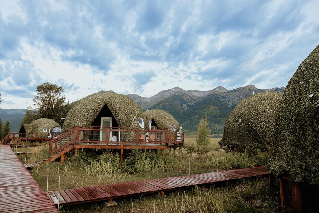 Příroda nedaleko luxury tent