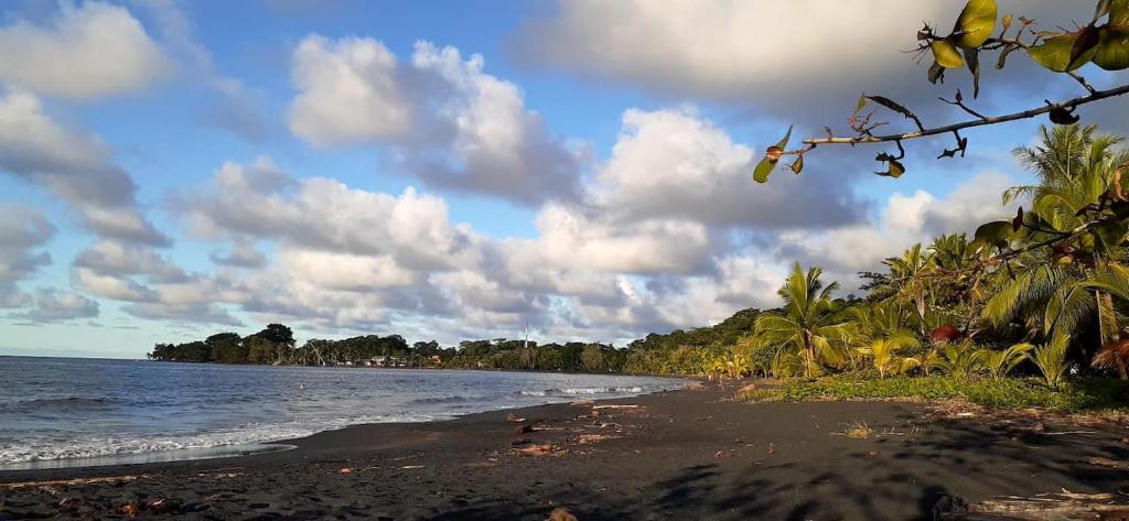 une plage avec des palmiers et l'océan par une journée nuageuse dans l'établissement La casita, à Puerto Viejo