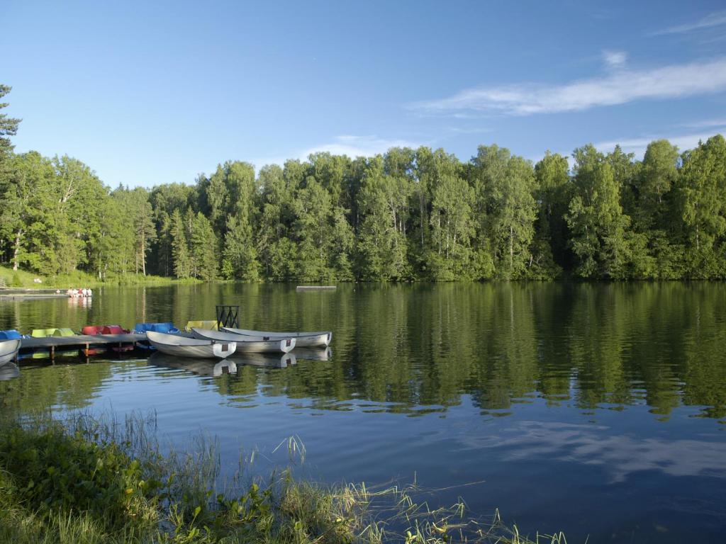 Nelijärve Holiday Centre في Aegviidu: وجود بعض القوارب على البحيرة