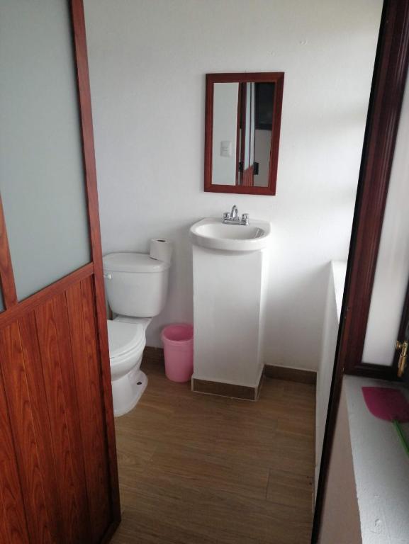 a bathroom with a toilet and a sink and a mirror at Hospedaje gardenias in Chignahuapan