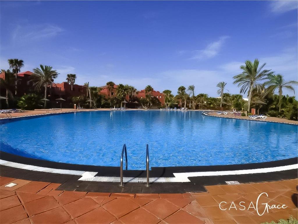 duży niebieski basen z palmami w tle w obiekcie Rentalfue Tamarindo 1 casa Grace w Corralejo