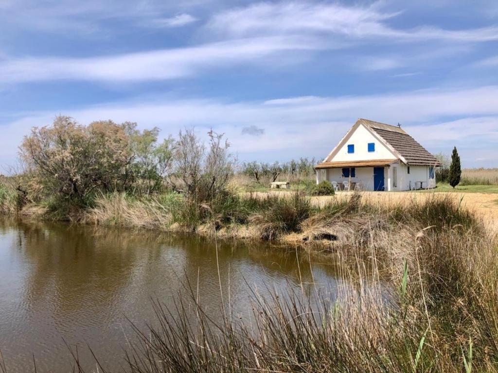 une maison située à côté d'un plan d'eau dans l'établissement Cabane de Gardian 6 pers, nature, animaux admis, parking - FR-1-475-186, à Saintes-Maries-de-la-Mer