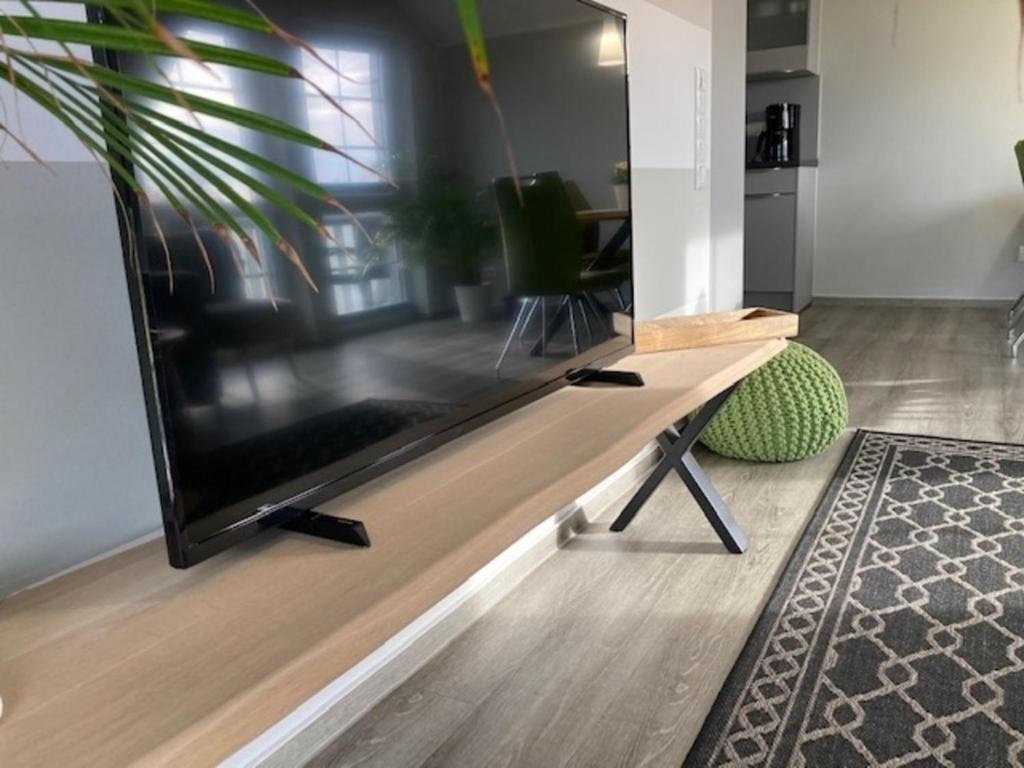 TV a/nebo společenská místnost v ubytování Kabine 11
