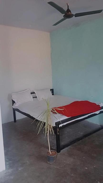 Stolní tenis v ubytování hampi nest nebo okolí