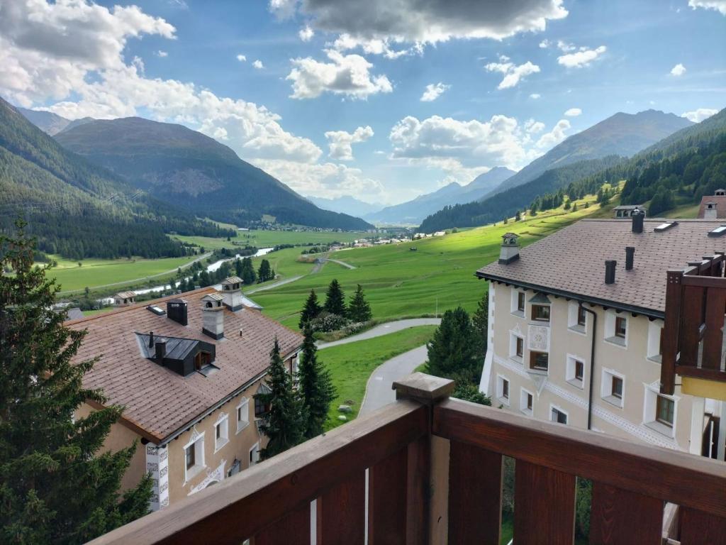 Příroda nedaleko apartmánu