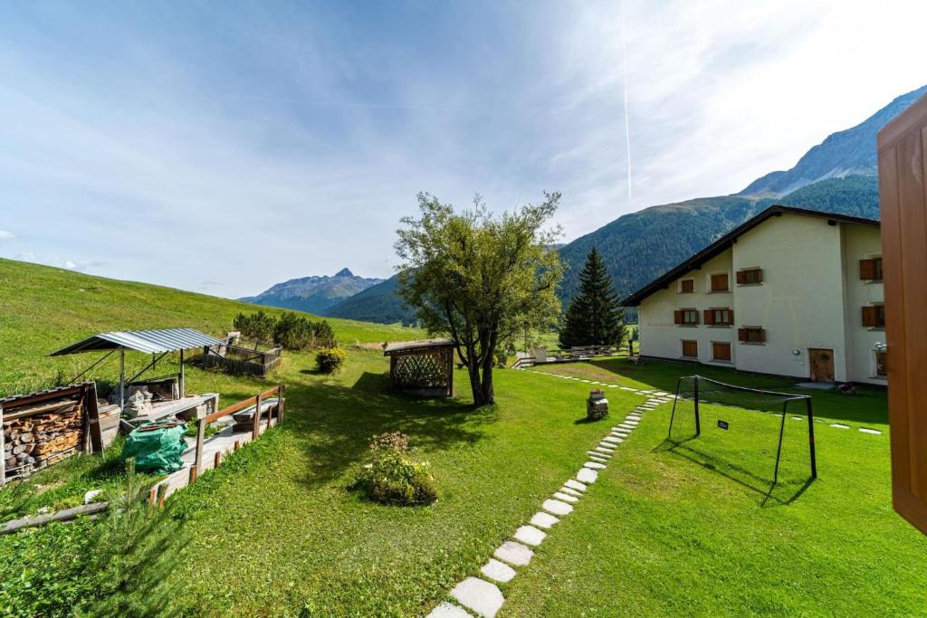Příroda nedaleko apartmánu