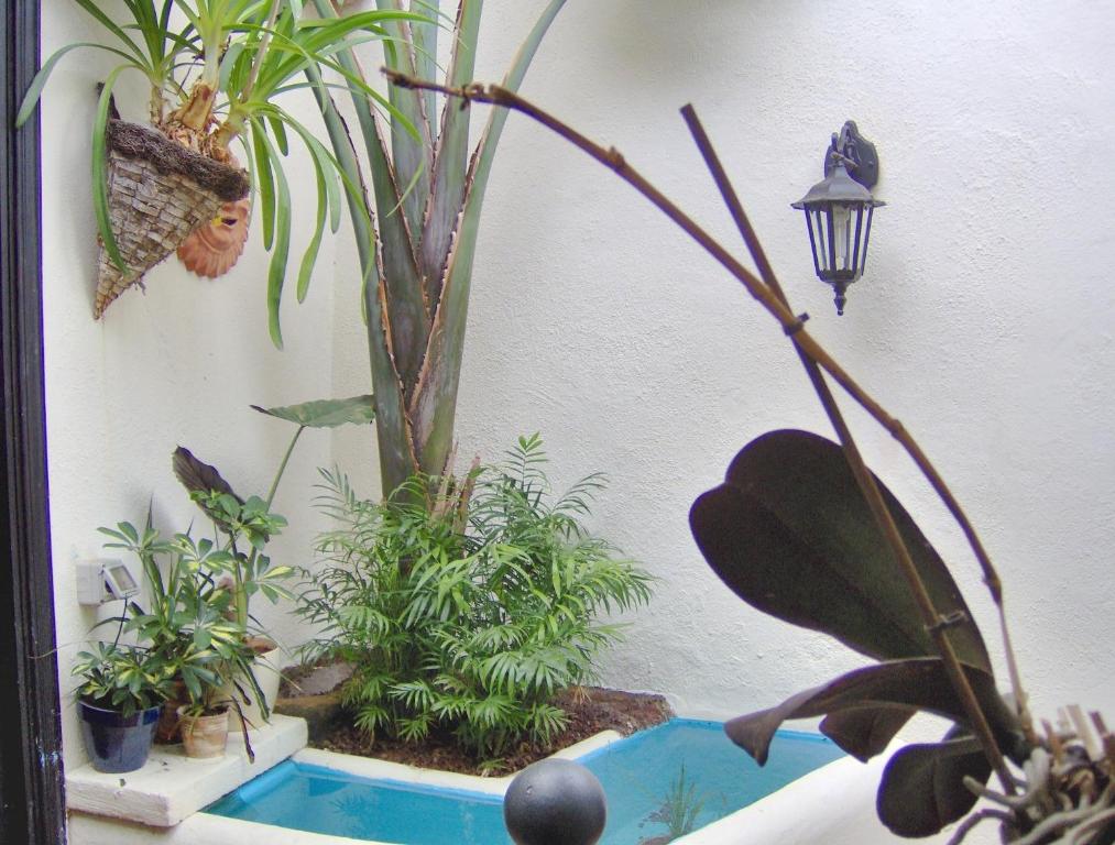 Zahrada ubytování Kleines Einzelzimmer mit Meerblick