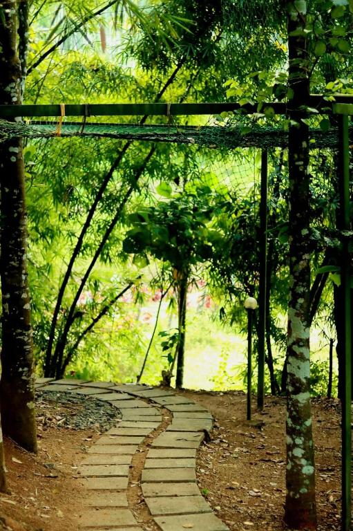 Zahrada ubytování Ayurnest Pool Resort Wayanad