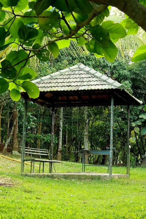 Zahrada ubytování Ayurnest Pool Resort Wayanad