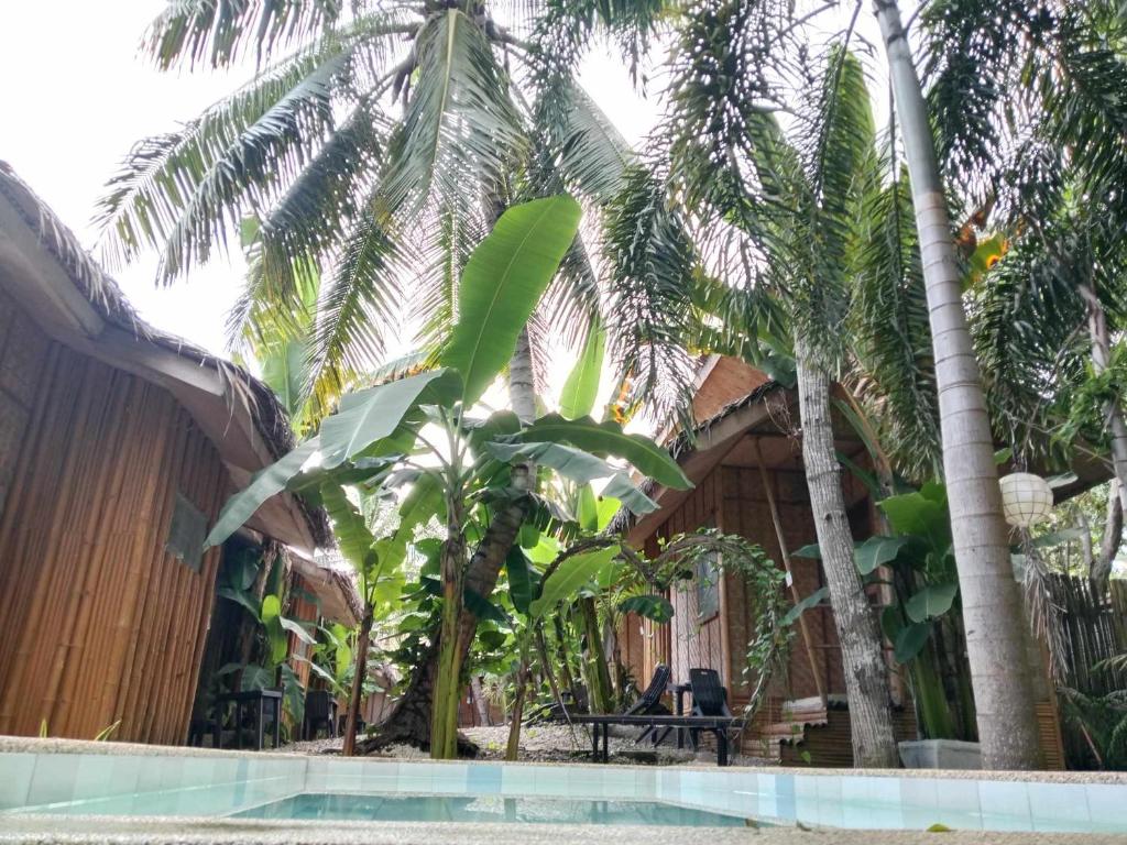 Zahrada ubytování Ecostay Panglao Resort Hotel