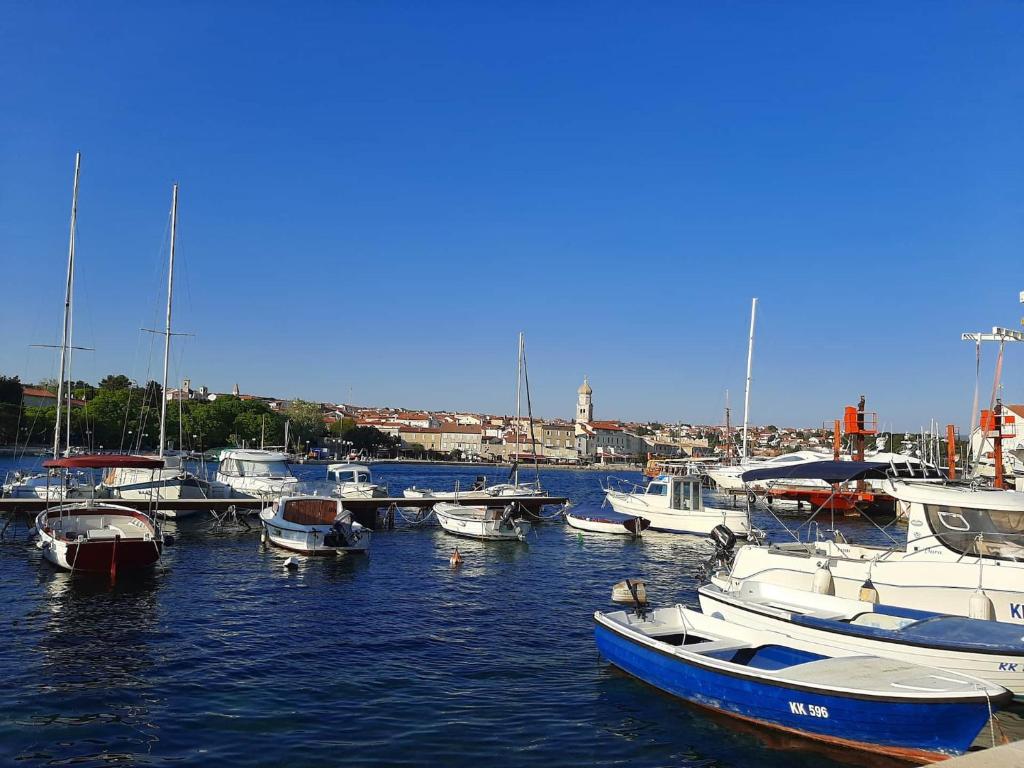 Příroda nedaleko apartmánu