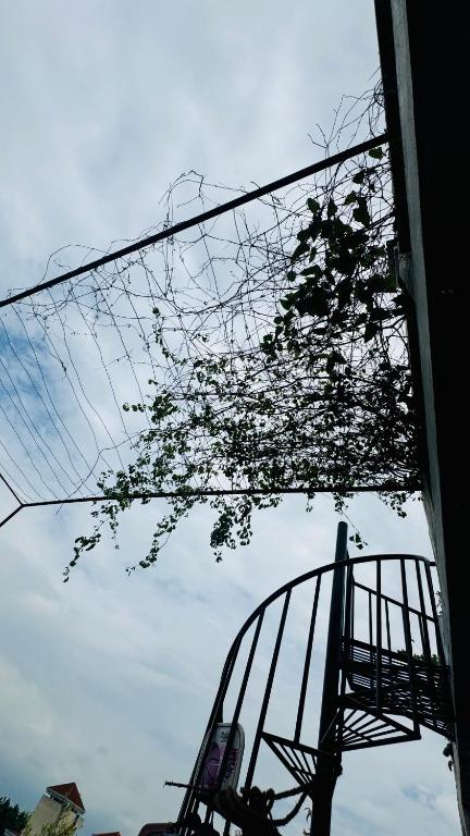 a tree in front of a building with a sky at Transit stay seeduwa in Mukalangamuwa