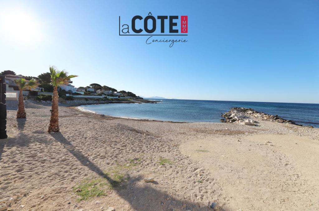 une ombre d'un palmier sur une plage dans l'établissement Carro, à Martigues