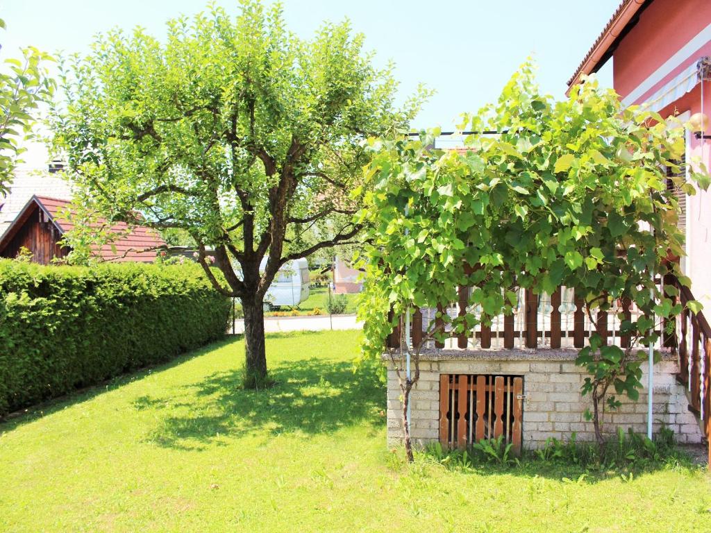 Zahrada ubytování Modern apartment with garden near the Petzen ski area in Eberndorf Carinthia
