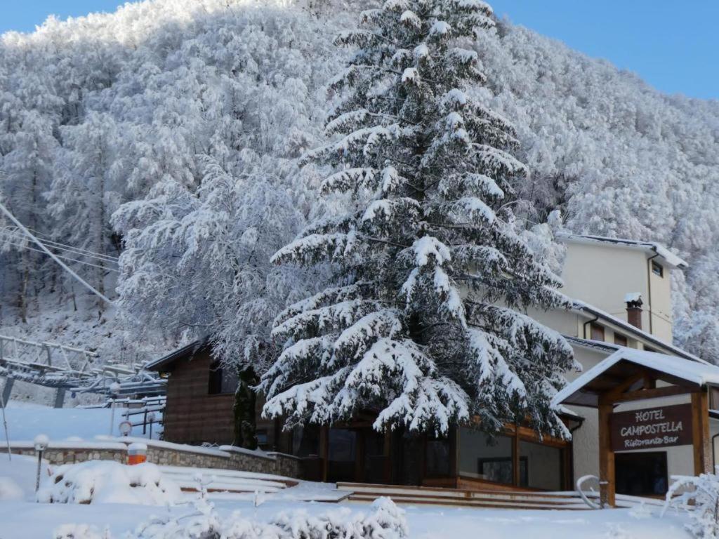 sosna pokryta śniegiem przed budynkiem w obiekcie HOTEL CAMPO STELLA w mieście Leonessa
