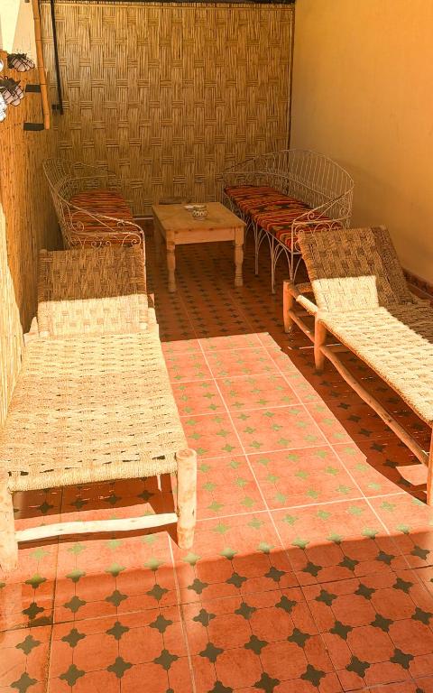 Riad Fridi — photo 6