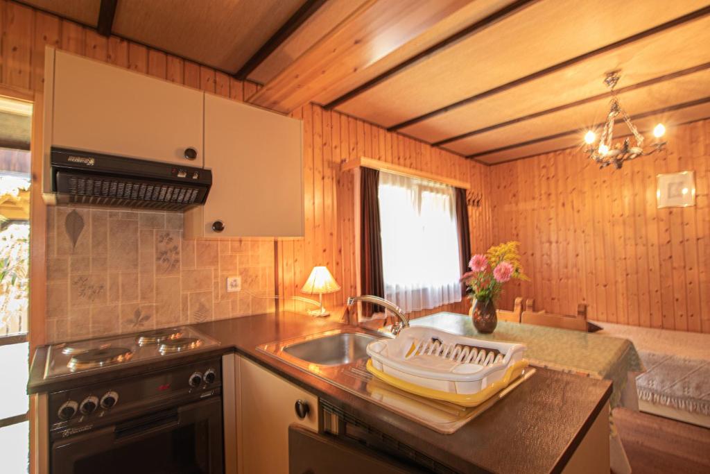 Kuchyň nebo kuchyňský kout v ubytování Residenz Edelweiss SAAS310