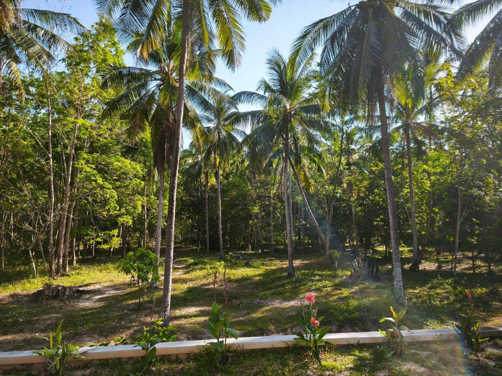 Jardin de l'établissement The Secret Garden Homestay Koh Yao Yai