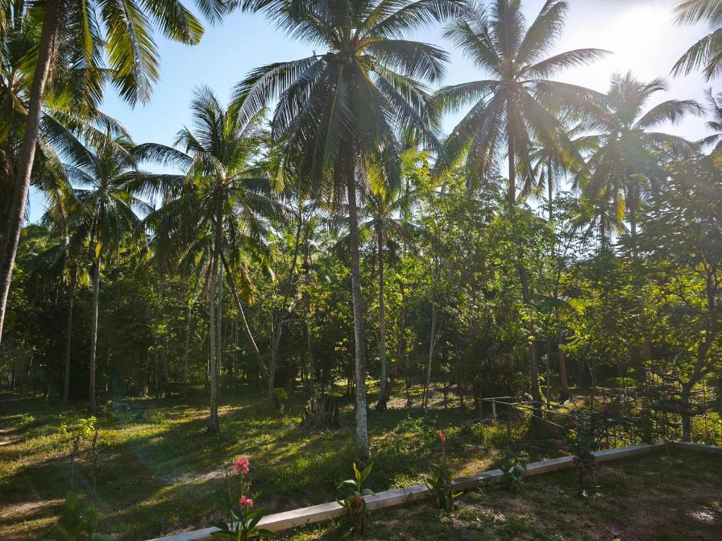 Jardin de l'établissement The Secret Garden Homestay Koh Yao Yai