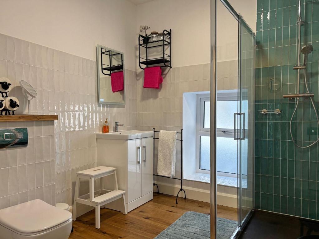 Koupelna v ubytování Apartment 481 - Clifden