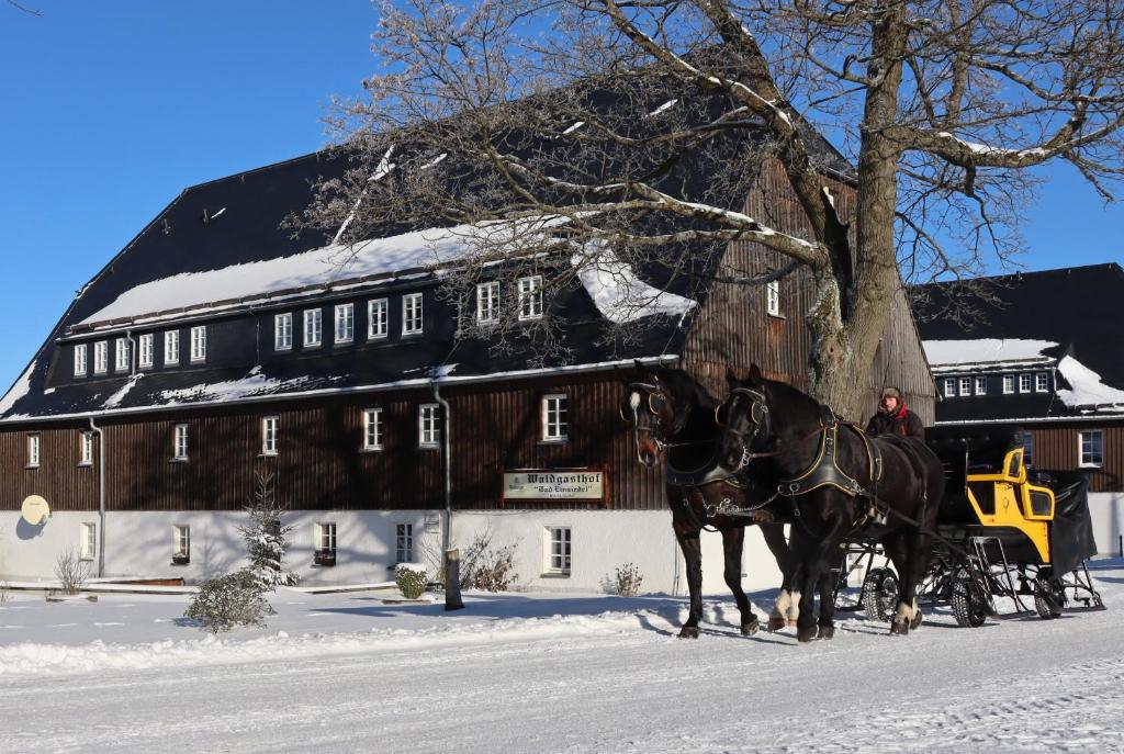 Waldgasthof Bad Einsiedel v zimě