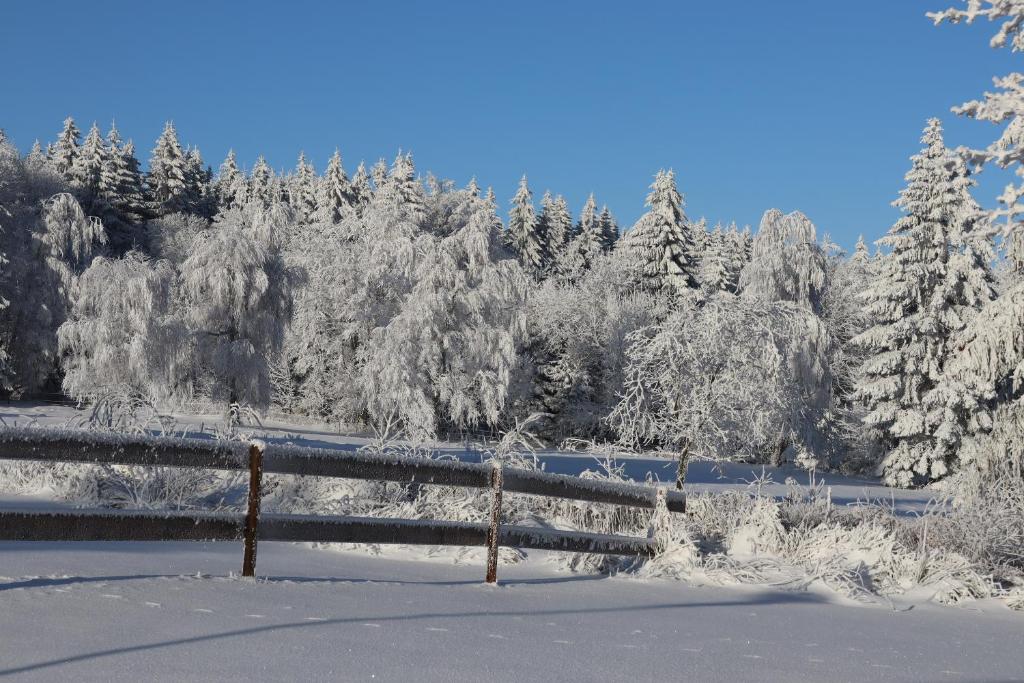 Waldgasthof Bad Einsiedel v zimě