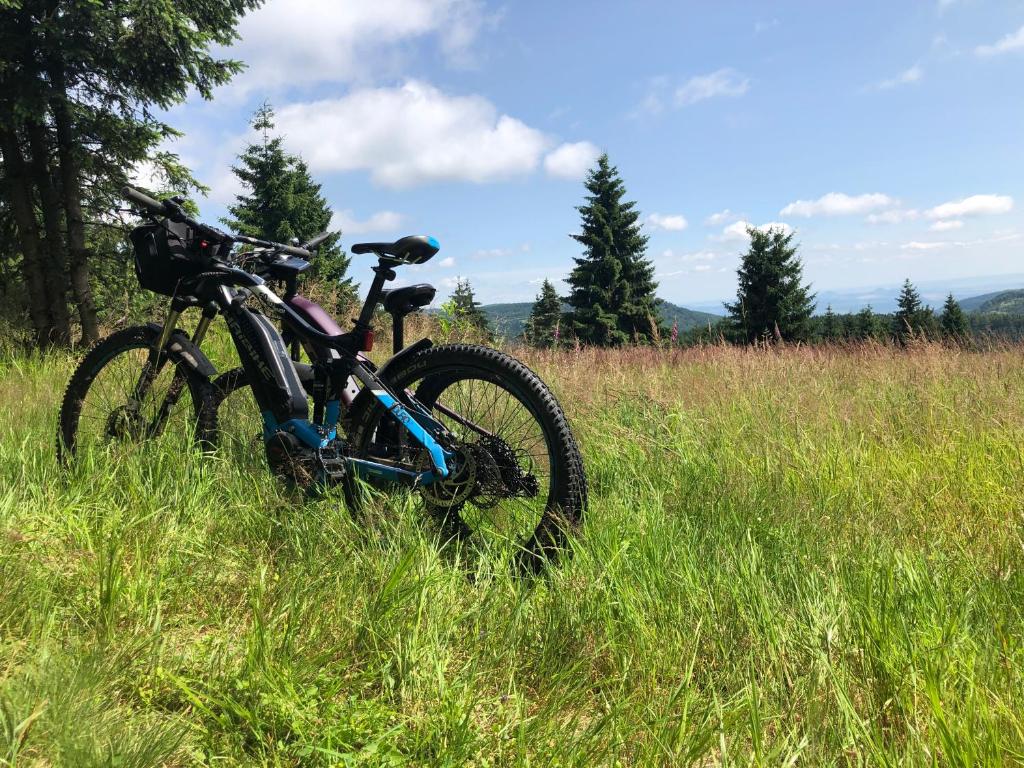 Jízda na kole v ubytování Waldgasthof Bad Einsiedel nebo okolí