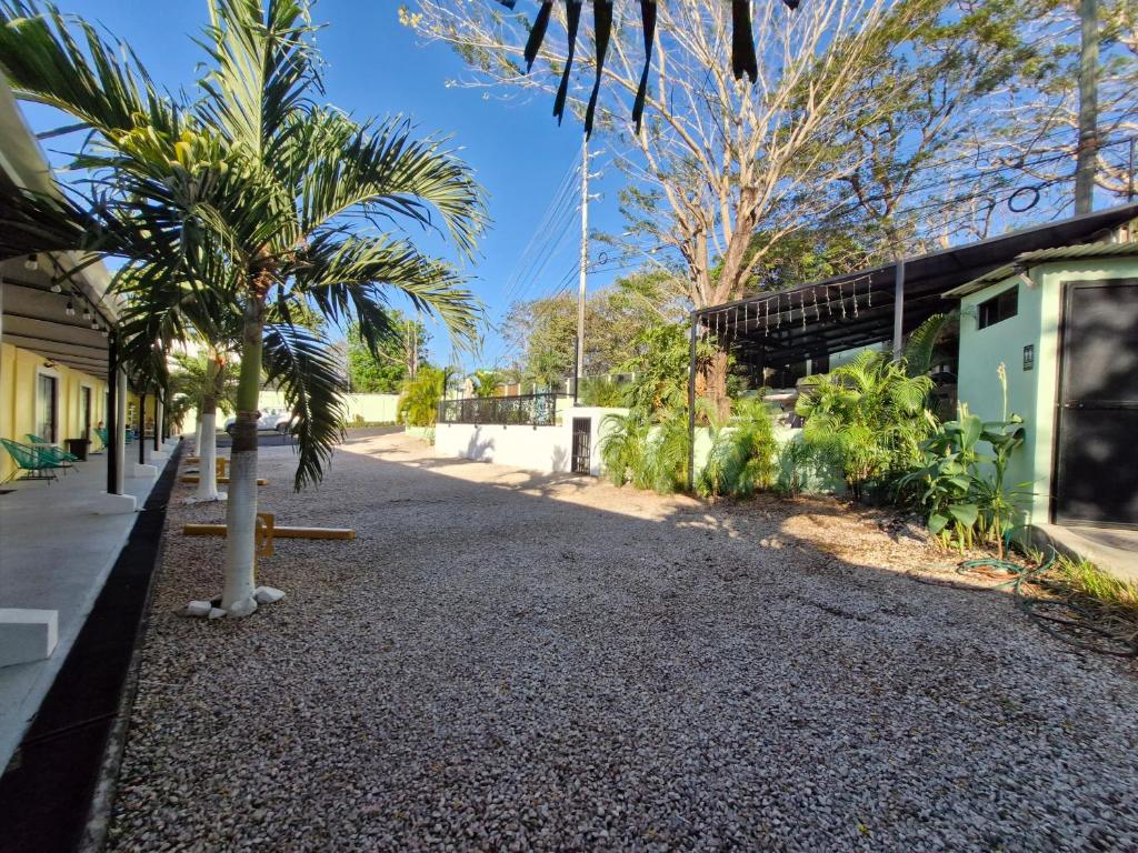 Zahrada ubytování Hotel Carlota Tamarindo