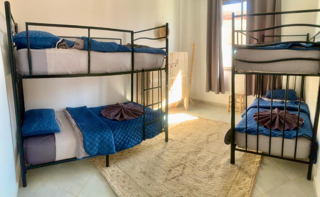 a room with two bunk beds with blue sheets at Ocean Surf House in Tamraght Ouzdar