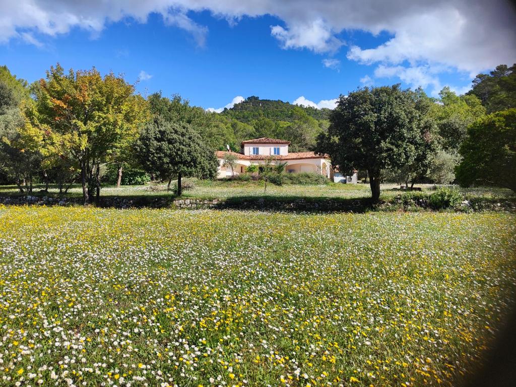 un champ de fleurs devant une maison dans l'établissement villa Simone, à Méounes-lès-Montrieux