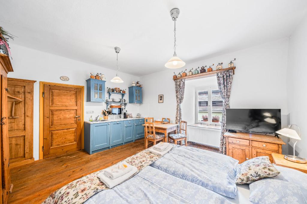 TV a/nebo společenská místnost v ubytování Apartmány Krumlov