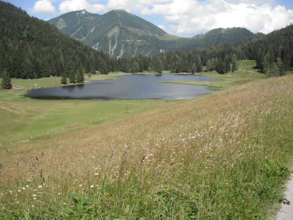Příroda nedaleko apartmánu