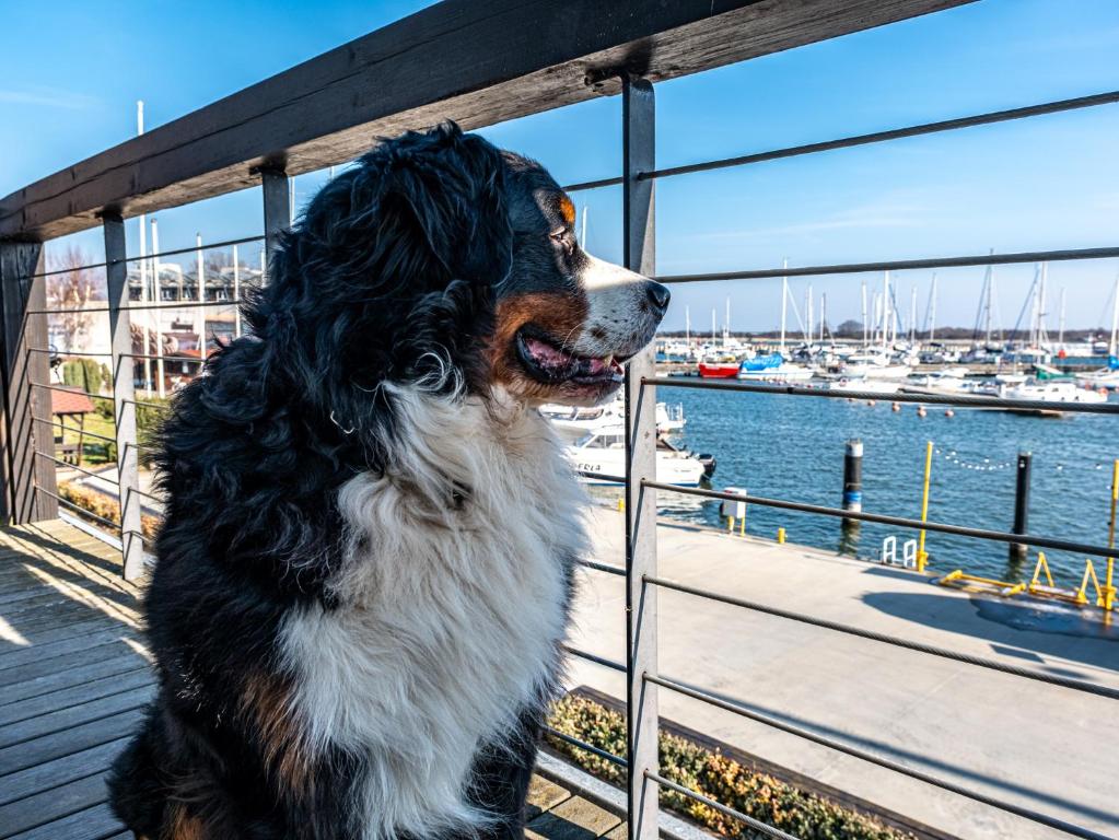 Hotel Galion - Resim 11