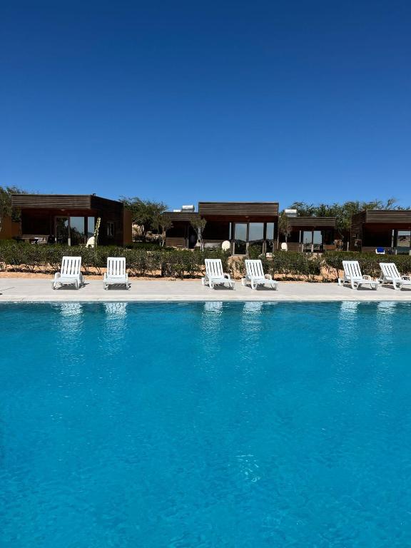 La alberca dentro o cerca de Dakhla Camp