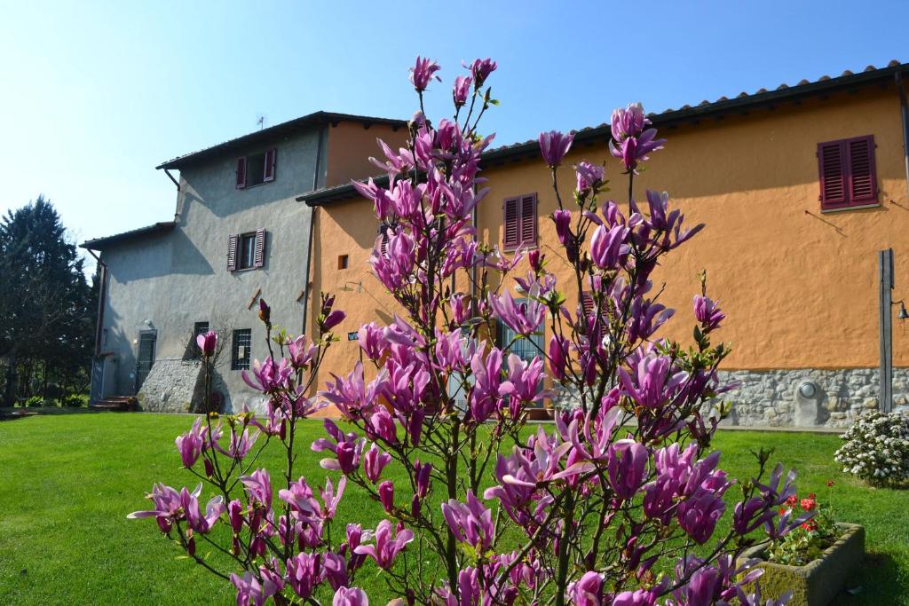 kupę fioletowych kwiatów przed budynkiem w obiekcie Agriturismo La Querce w mieście Rignano sullʼArno