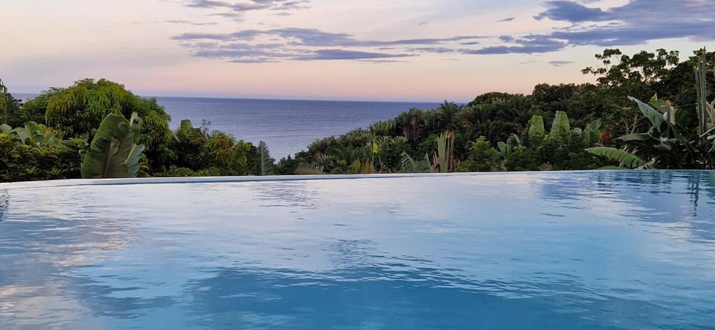 une piscine avec vue sur l'océan dans l'établissement La VILLA ANKARENA Dans un domaine forestier tropical, PROPRIÉTÉ ENTIÈRE avec PISCINE PRIVEE, Wifi, TV Plage à 5 minutes à pieds, sur l'île Sainte-Marie