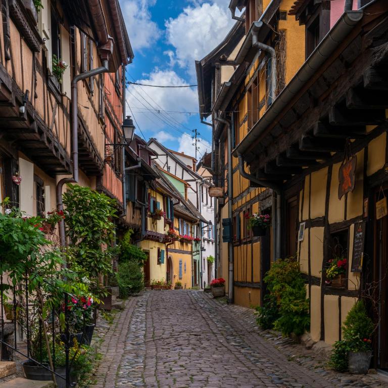 Hotel Colmar Vignes Eguisheim – photo 51