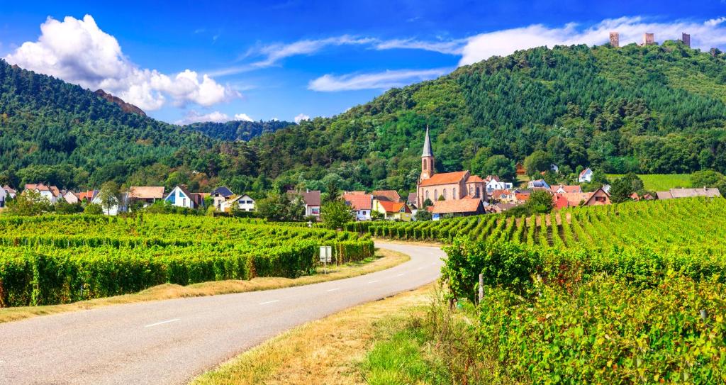 Hotel Colmar Vignes Eguisheim – photo 52