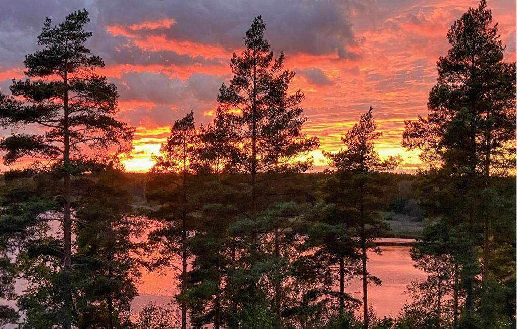 Loodusmaastik puhkemaja lähedal