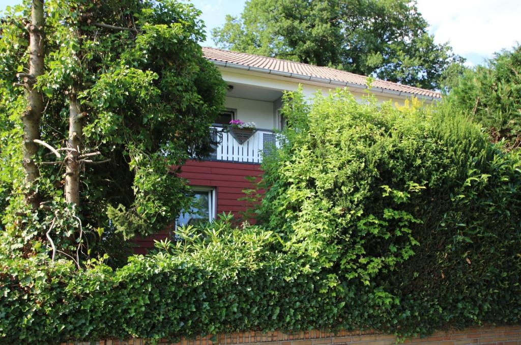 Ferienwohnung Zum Rosengarten Driedorf 3 Sterne Unterkunft im Westerwald mit Komfort & zentraler Lage - Departamento