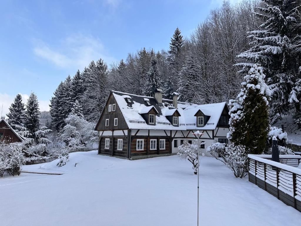 Forest View Cottage v zimě