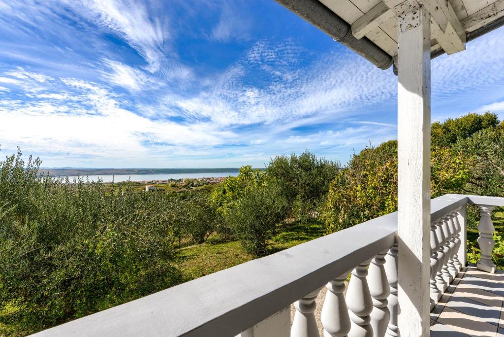 Príroda v okolí apartmánu