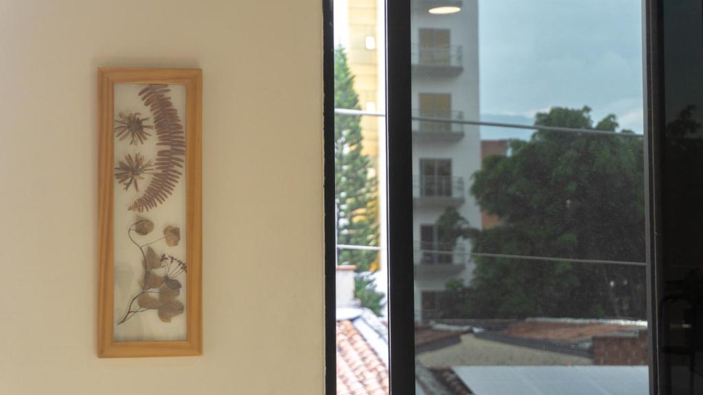 Fotografie z fotogalerie ubytování Selva House v destinaci Medellín