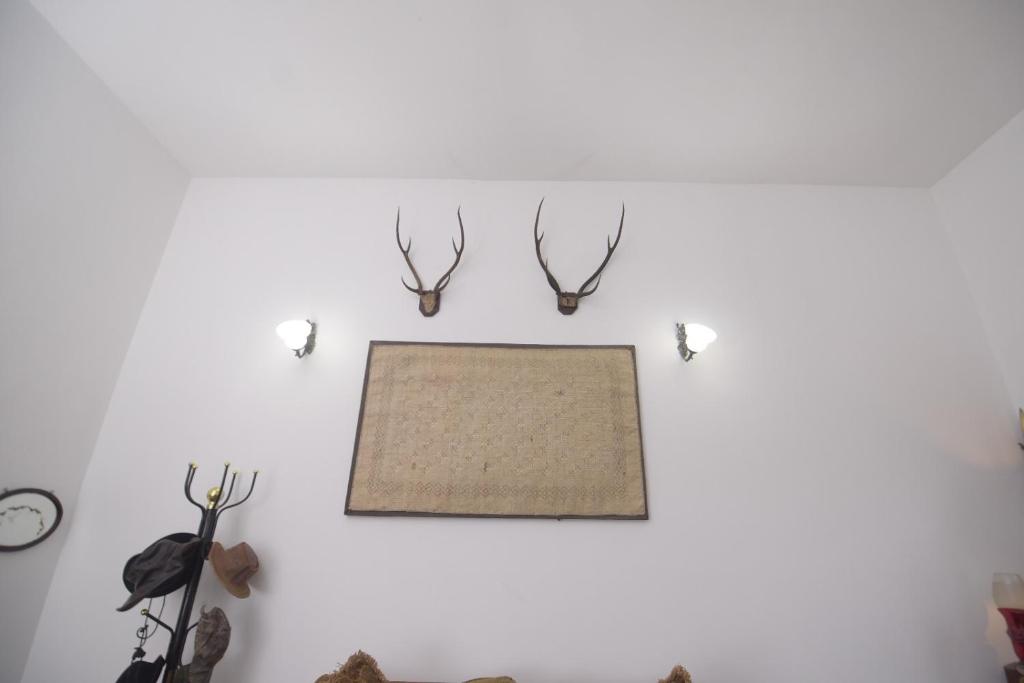 Fotografie z fotogalerie ubytování Chaminrich villa v destinaci Kandy
