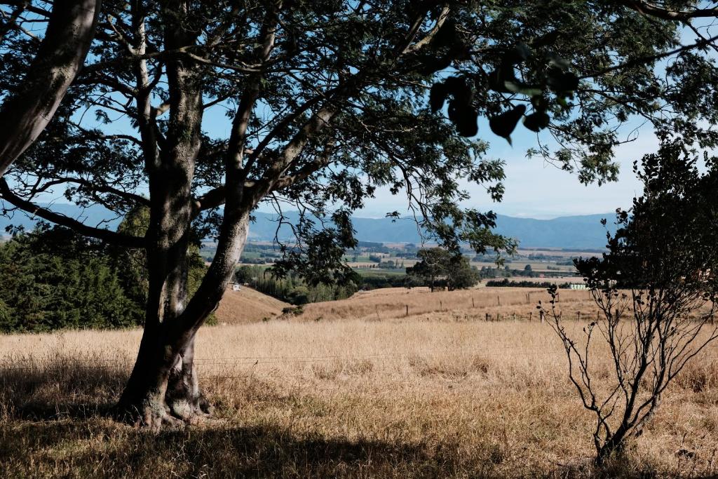 A cabin with a big view, comfort and tranquility, close to vines - Resim 14