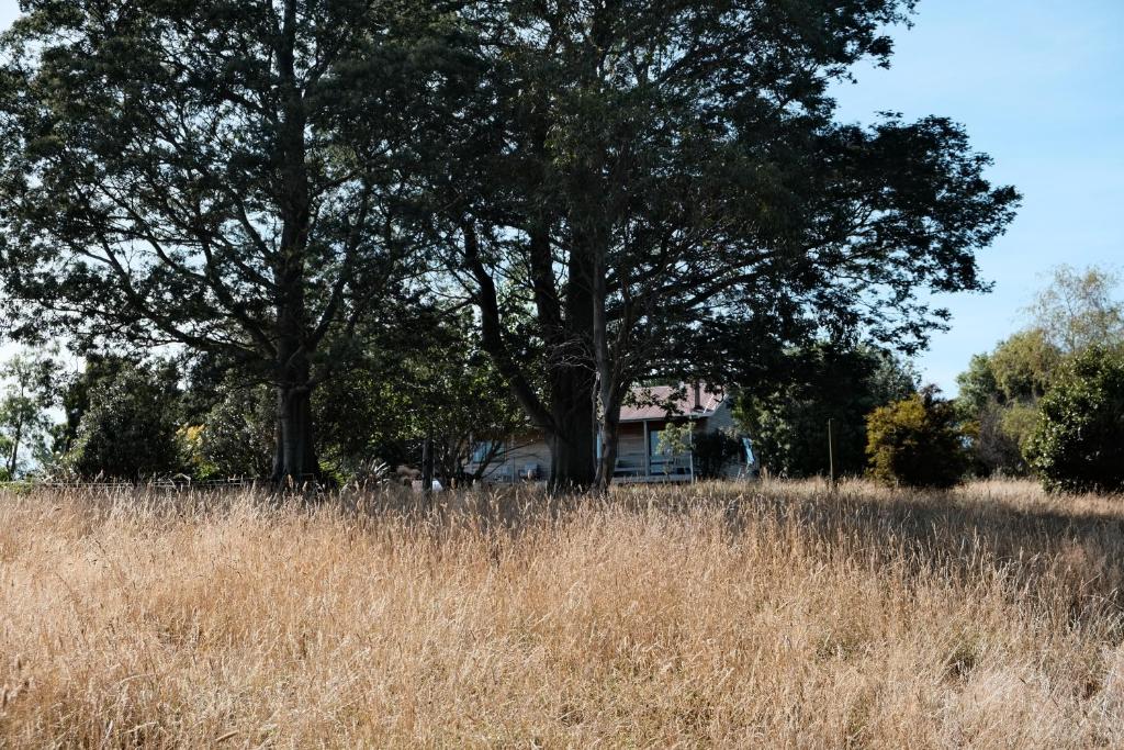 A cabin with a big view, comfort and tranquility, close to vines - Resim 12